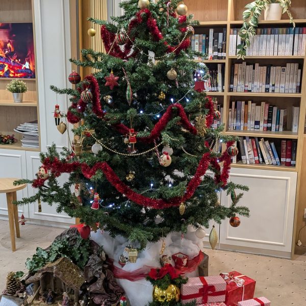 Les origines du sapin de Noël : une tradition…