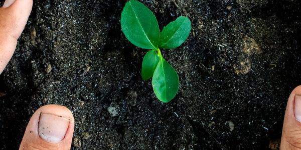 Valorisation des biodéchets : bilan 2025