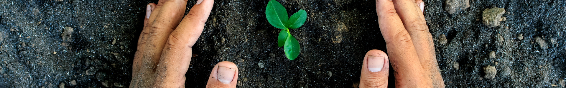 Valorisation des biodéchets : bilan 2025