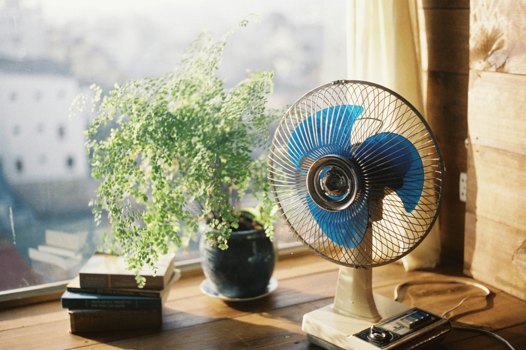 Canicule : comment refroidir son logement sans climatisation ?