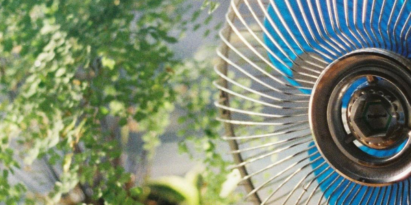 Canicule : comment refroidir son logement sans climatisation ?