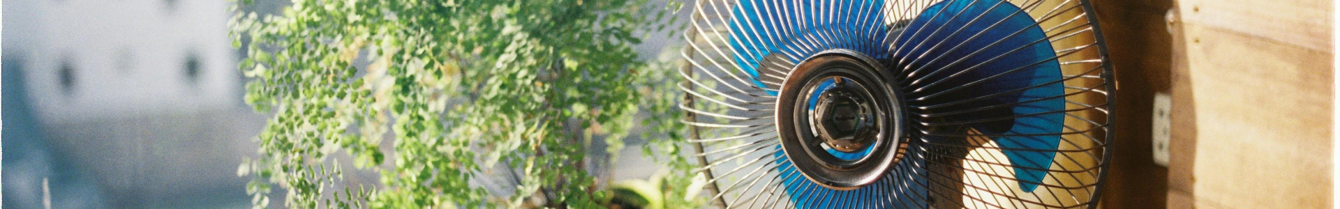 Canicule : comment refroidir son logement sans climatisation ?